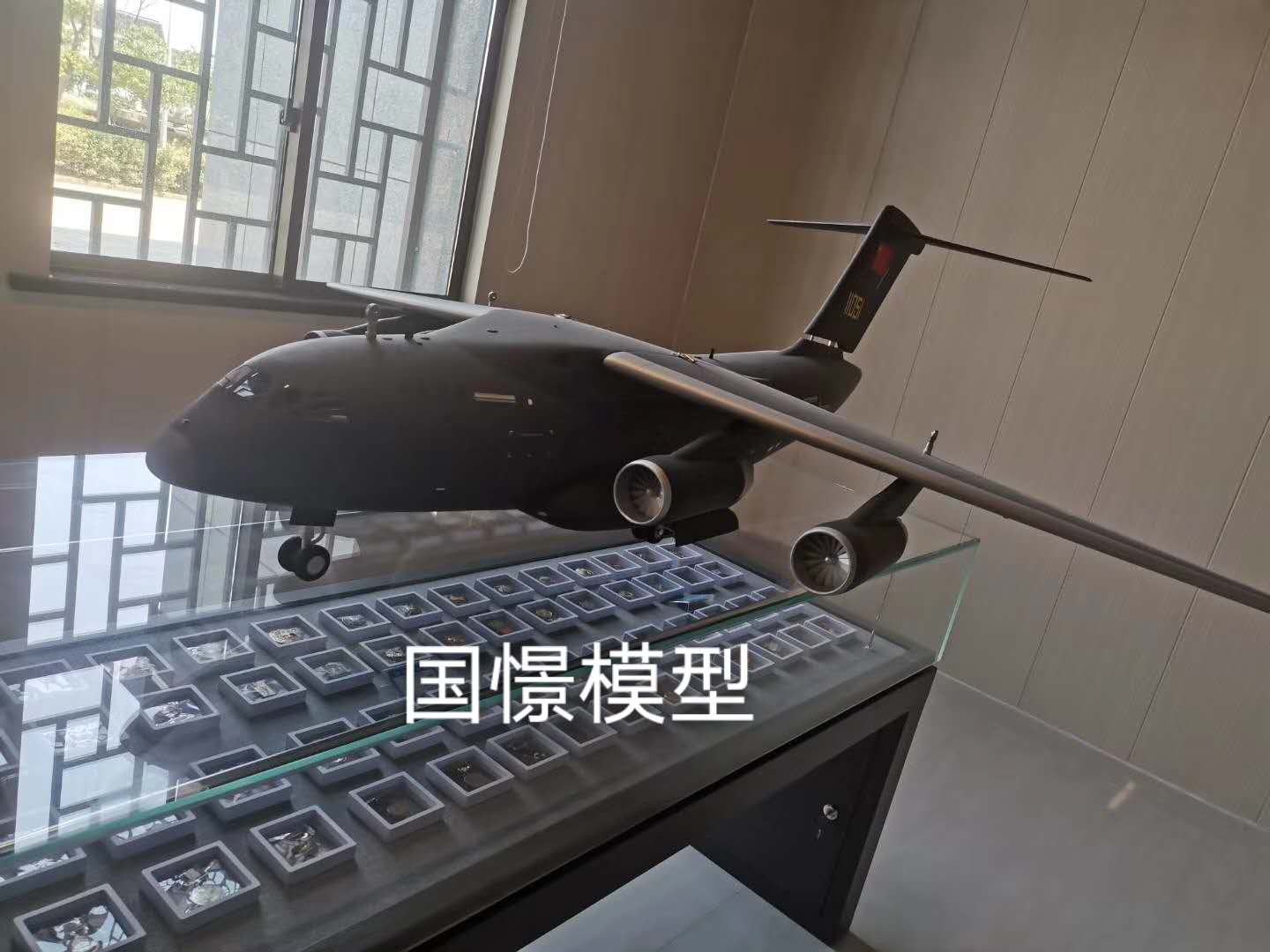 雅安飞机模型